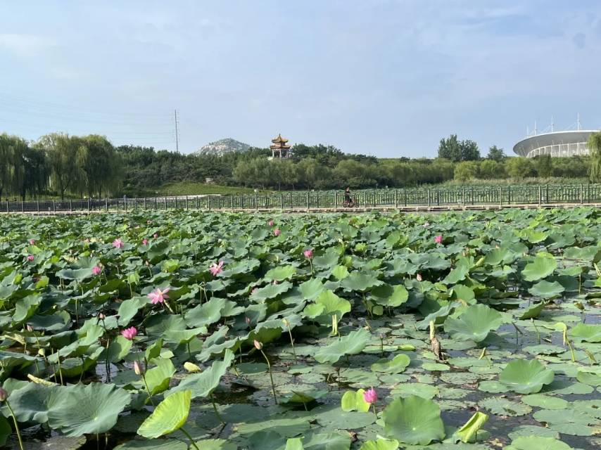 普通裝修3室1廳1衛(wèi)80m2900元/月