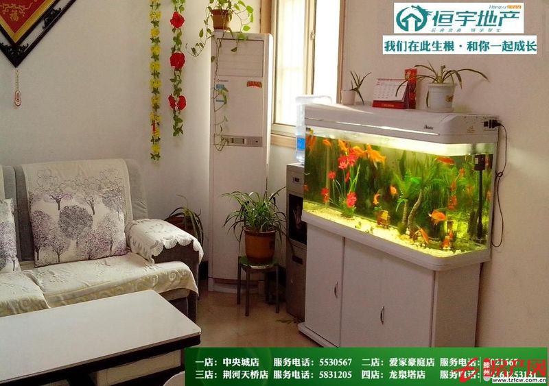 不管您看了多少次，它也不會(huì)降一次