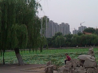 明珠花園三室戶型出售