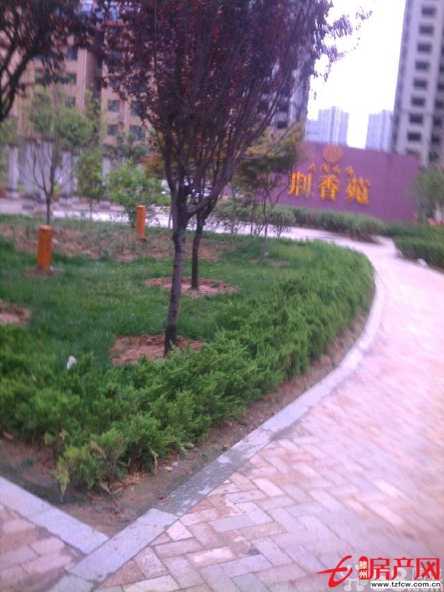 便宜房子急出租