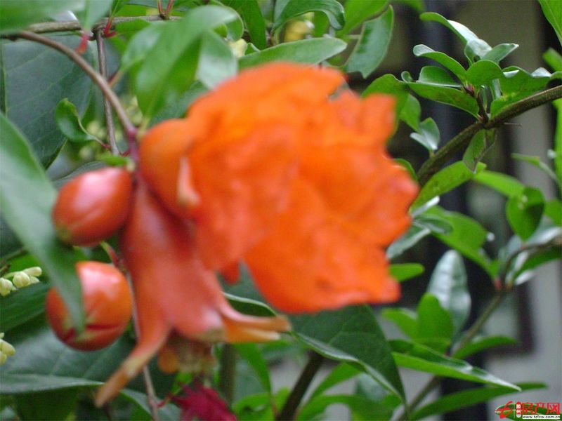 學(xué)區(qū)房陽光國際小區(qū)學(xué)生一號(hào)公寓出租（新滕州一中東校對(duì)過）