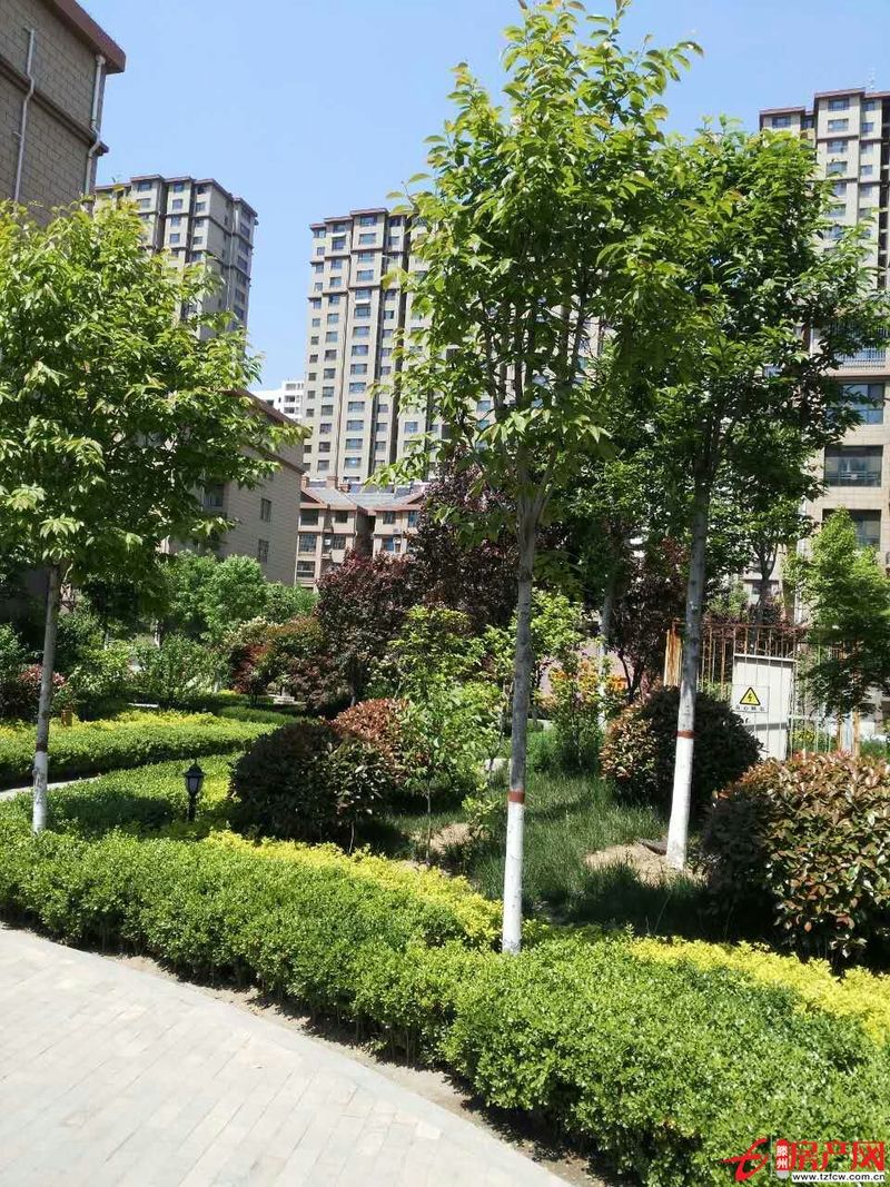 善南小區(qū)多層高，簡裝，有證，含儲有暖