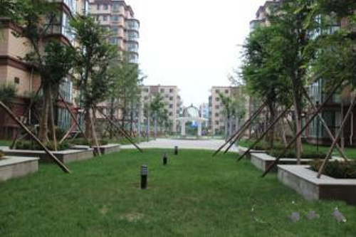 忠真新天地，精裝修，兩室一廳朝陽(yáng)，證滿(mǎn)兩年，可貸款。