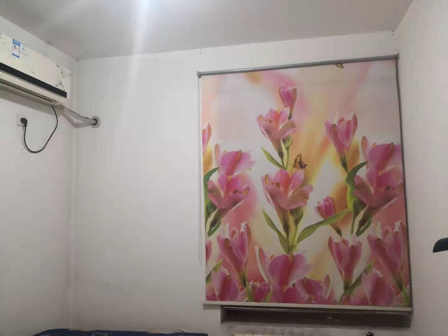 普通裝修4室2廳2衛(wèi)147m21800元/月