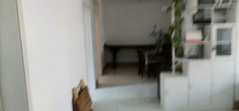 工薪一族、多孩家庭的夢中情房